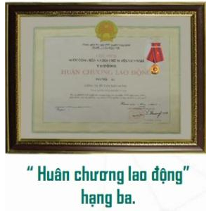 V. Danh hiệu và giải thưởng